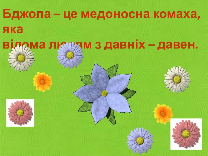 Бджола – це медоносна комаха, яка відома людям з давніх – давен.