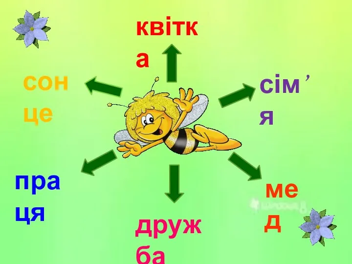 квітка мед сім’я дружба сонце праця