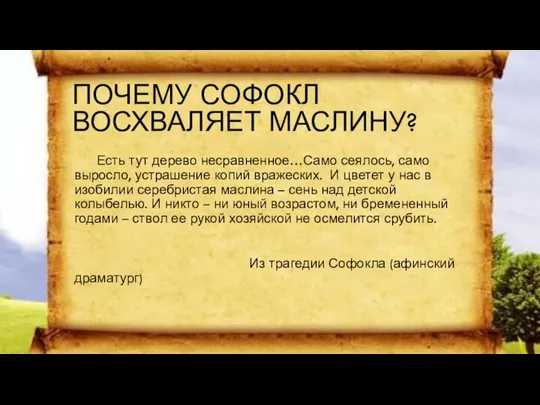 ПОЧЕМУ СОФОКЛ ВОСХВАЛЯЕТ МАСЛИНУ? Есть тут дерево несравненное…Само сеялось, само выросло,