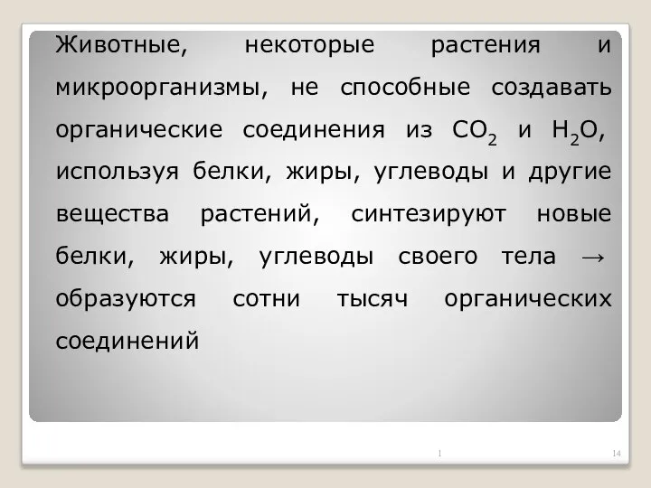 Животные, некоторые растения и микроорганизмы, не способные создавать органические соединения из