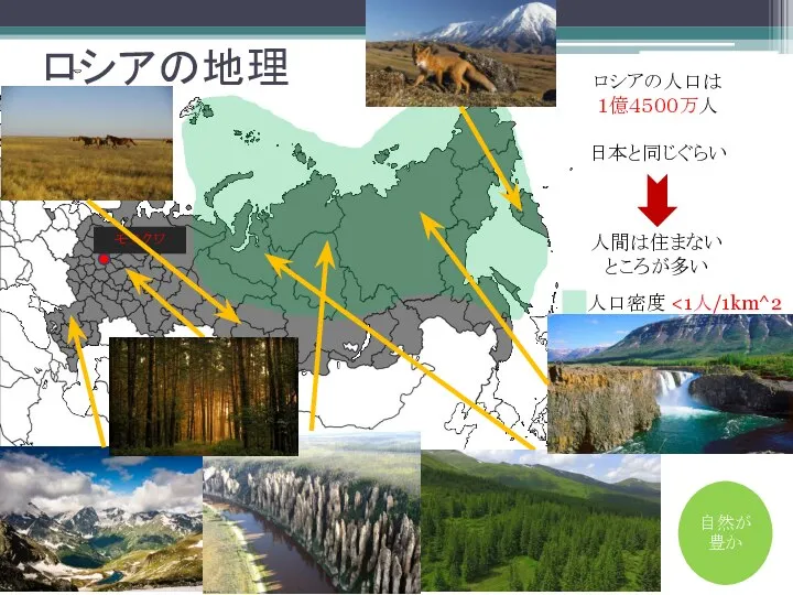 ロシアの地理 ＝４５X ロシア 日本 モスクワ ロシアの人口は １億４５００万人 日本と同じぐらい 人間は住まないところが多い 人口密度