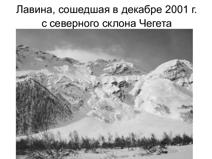 Лавина, сошедшая в декабре 2001 г. с северного склона Чегета