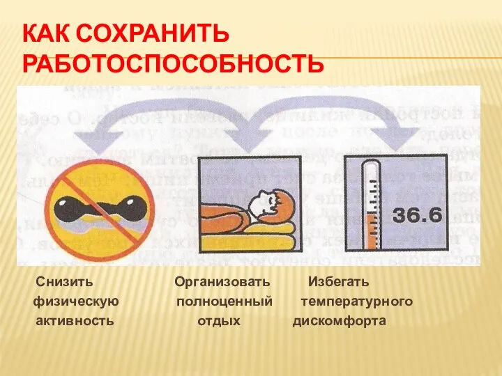 КАК СОХРАНИТЬ РАБОТОСПОСОБНОСТЬ Снизить Организовать Избегать физическую полноценный температурного активность отдых дискомфорта