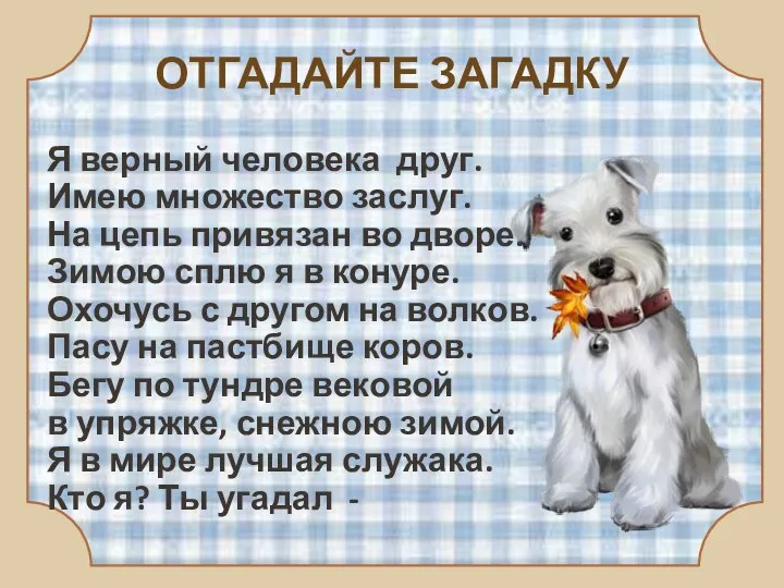 ОТГАДАЙТЕ ЗАГАДКУ Я верный человека друг. Имею множество заслуг. На цепь