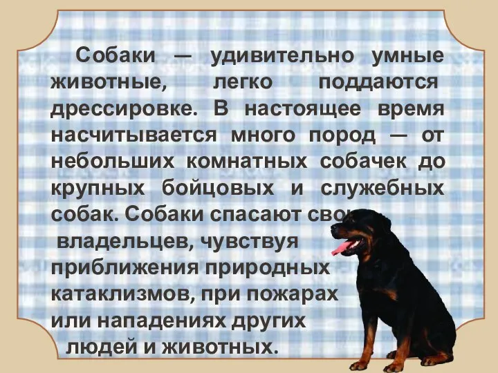 Собаки — удивительно умные животные, легко поддаются дрессировке. В настоящее время