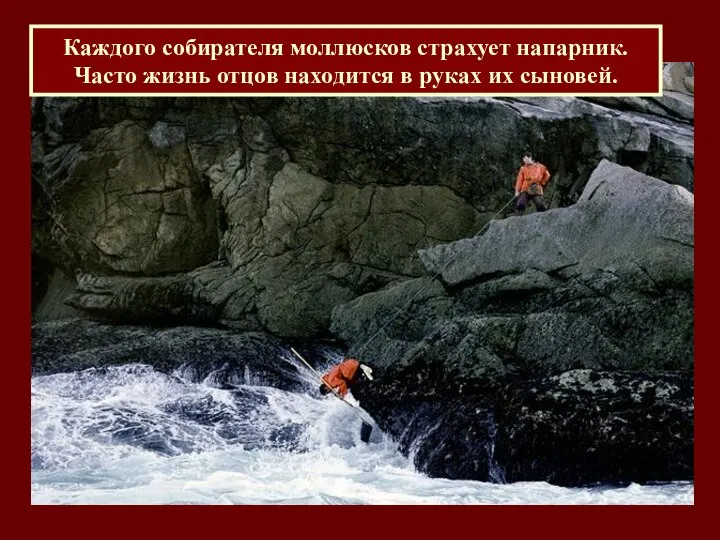 Каждого собирателя моллюсков страхует напарник. Часто жизнь отцов находится в руках их сыновей.