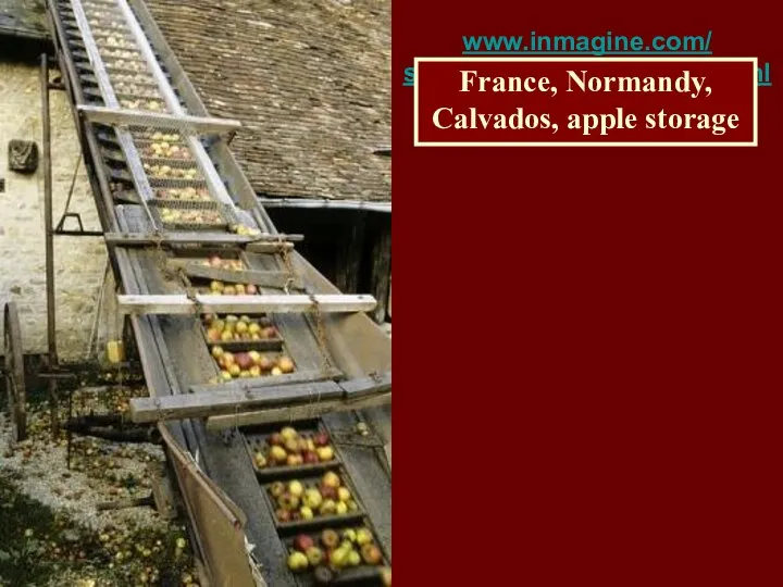 www.inmagine.com/ searchterms/apple_cider.html France, Normandy, Calvados, apple storage