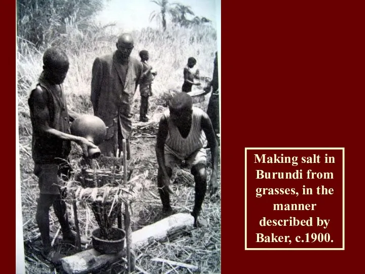 Making salt in Burundi from grasses, in the manner described by Baker, c.1900.