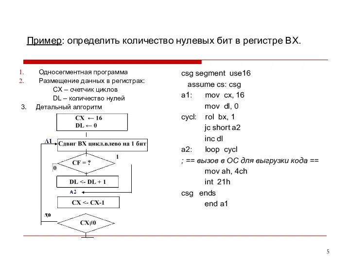 Пример: определить количество нулевых бит в регистре BX. Односегментная программа Размещение