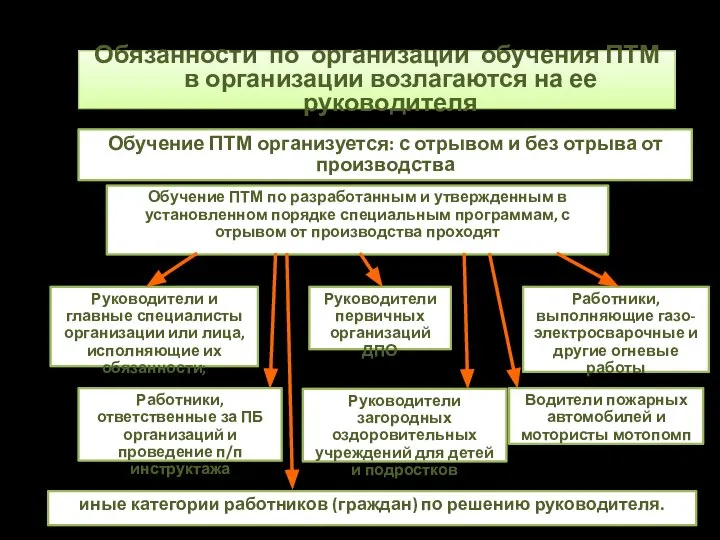 Обязанности по организации обучения ПТМ в организации возлагаются на ее руководителя