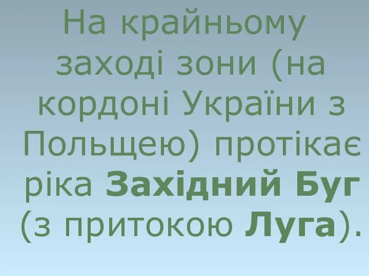 На крайньому заході зони (на кордоні України з Польщею) протікає ріка Західний Буг (з притокою Луга).