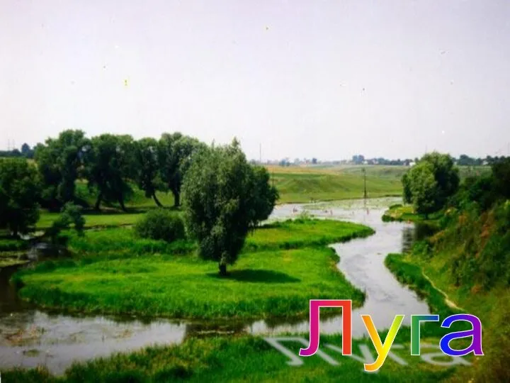 Луга