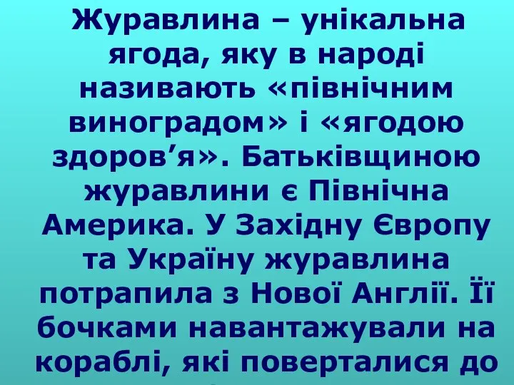 Журавлина – унікальна ягода, яку в народі називають «північним виноградом» і