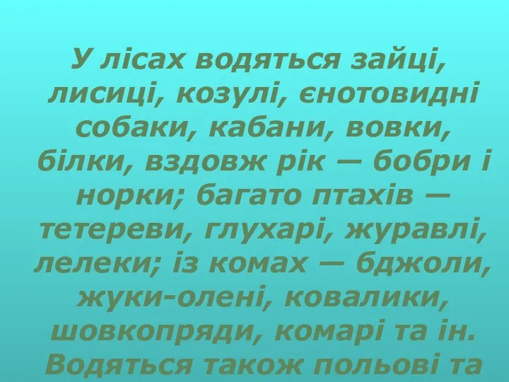 У лісах водяться зайці, лисиці, козулі, єнотовидні собаки, кабани, вовки, білки,