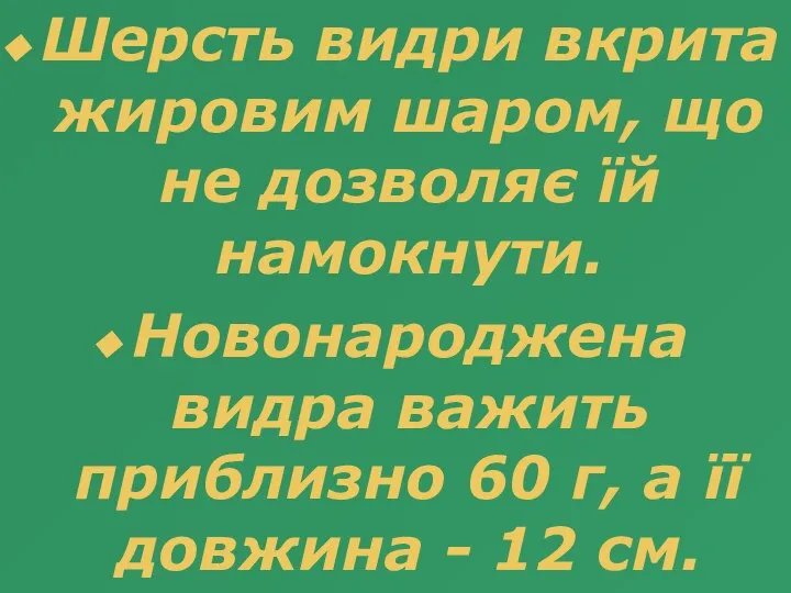 Шерсть видри вкрита жировим шаром, що не дозволяє їй намокнути. Новонароджена