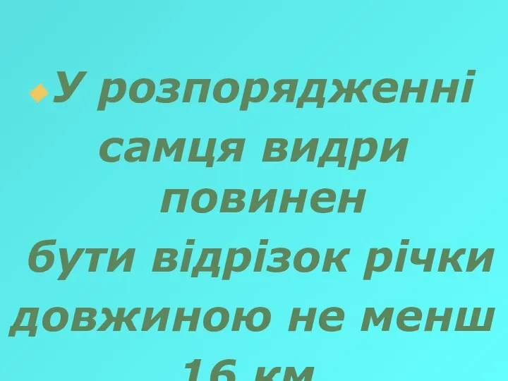 У розпорядженні самця видри повинен бути відрізок річки довжиною не менш 16 км.