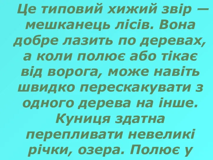 Це типовий хижий звір — мешканець лісів. Вона добре лазить по