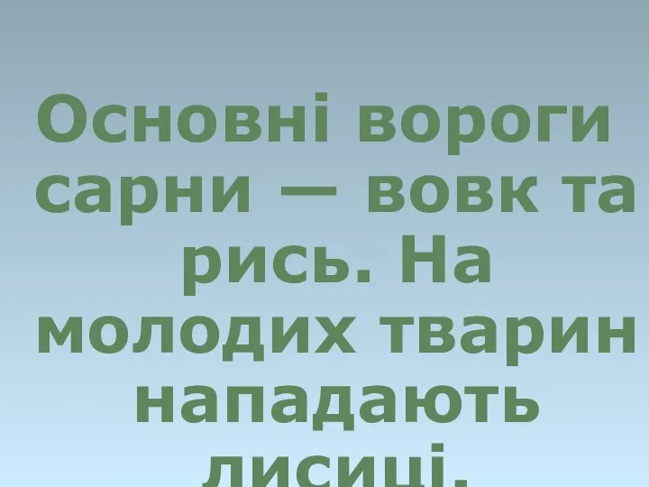 Основні вороги сарни — вовк та рись. На молодих тварин нападають лисиці.