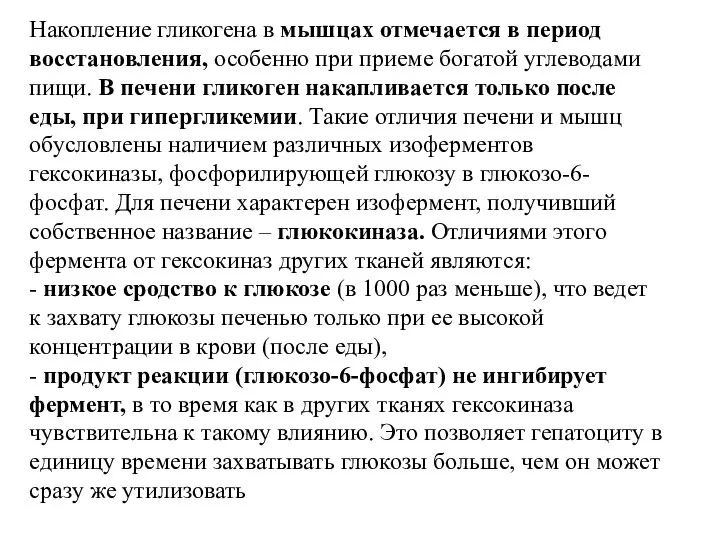 Накопление гликогена в мышцах отмечается в период восстановления, особенно при приеме