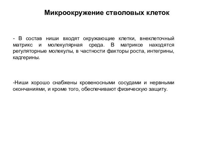 Микроокружение стволовых клеток - В состав ниши входят окружающие клетки, внеклеточный