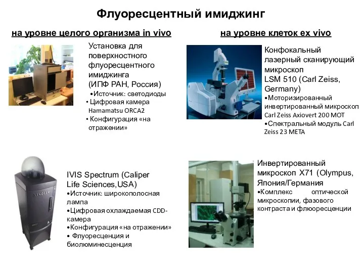 Установка для поверхностного флуоресцентного имиджинга (ИПФ РАН, Россия) •Источник: светодиоды Цифровая