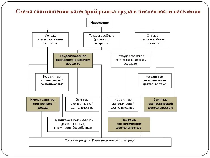 Схема соотношения категорий рынка труда в численности населения