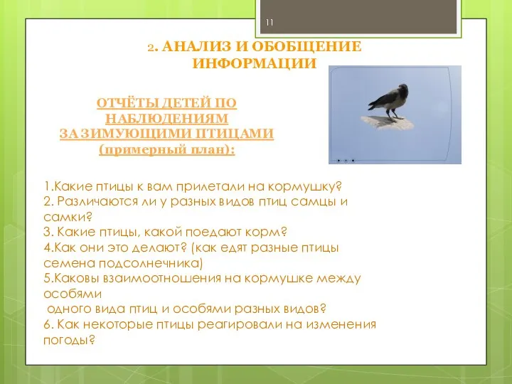 2. АНАЛИЗ И ОБОБЩЕНИЕ ИНФОРМАЦИИ ОТЧЁТЫ ДЕТЕЙ ПО НАБЛЮДЕНИЯМ ЗА ЗИМУЮЩИМИ