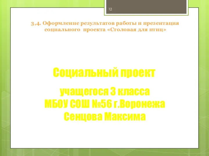 3,4. Оформление результатов работы и презентация социального проекта «Столовая для птиц»