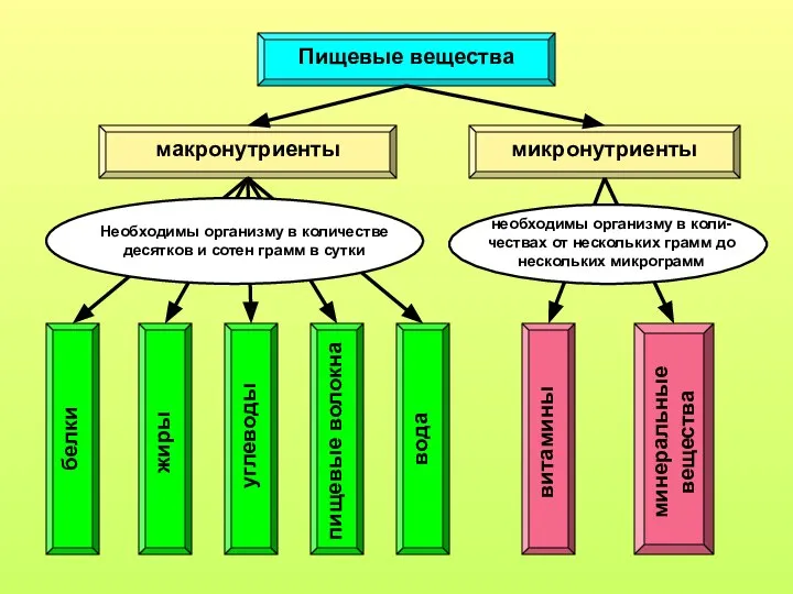 Пищевые вещества макронутриенты микронутриенты необходимы организму в количестве десятков и сотен