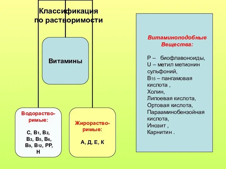 Витаминоподобные Вещества: Р – биофлавоноиды, U – метил метионин сульфоний, В15