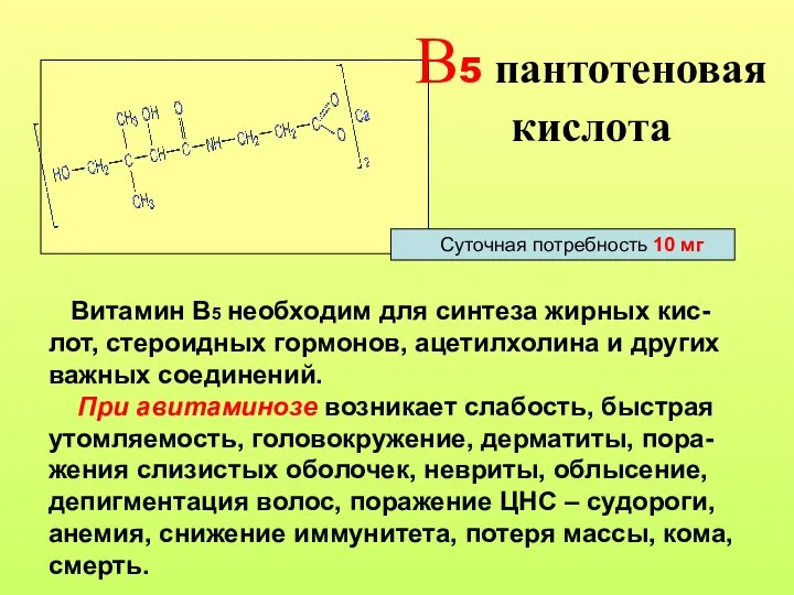 В5 пантотеновая кислота Витамин В5 необходим для синтеза жирных кис-лот, стероидных