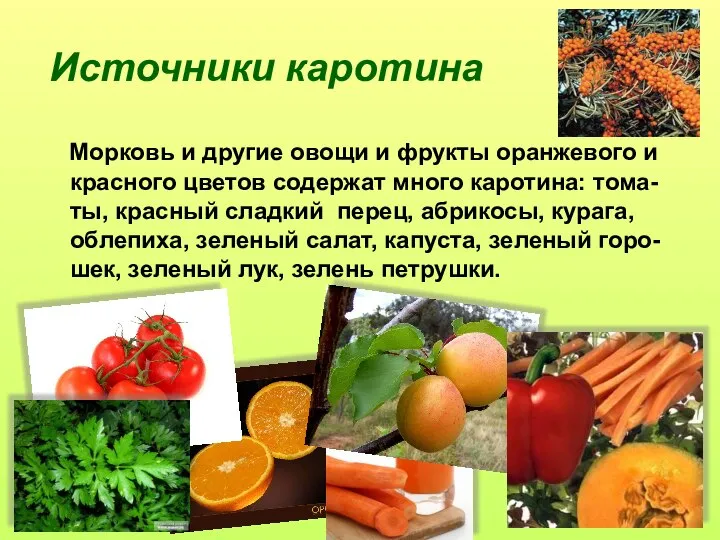 Источники каротина Морковь и другие овощи и фрукты оранжевого и красного