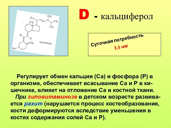 D - кальциферол Суточная потребность 2,5 мкг Регулирует обмен кальция (Са)