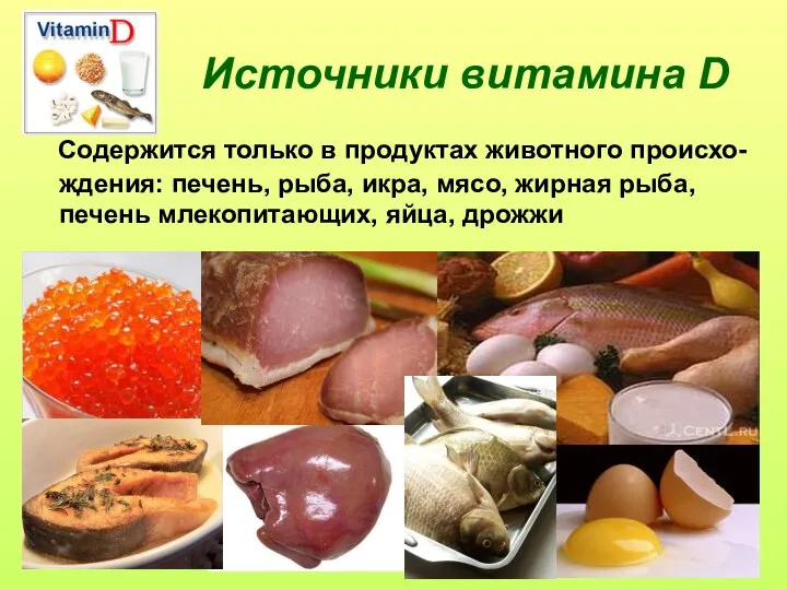 Источники витамина D Содержится только в продуктах животного происхо-ждения: печень, рыба,