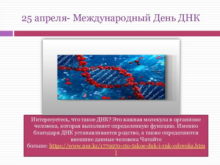 25 апреля- Международный День ДНК Интересуетесь, что такое ДНК? Это важная