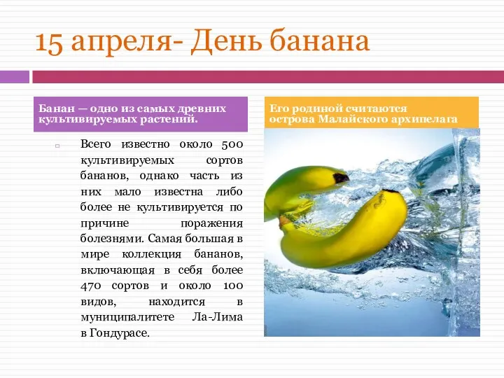 15 апреля- День банана Всего известно около 500 культивируемых сортов бананов,