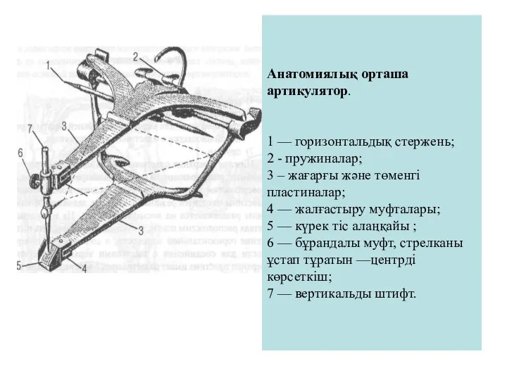 Анатомиялық орташа артикулятор. 1 — горизонтальдық стержень; 2 - пружиналар; 3