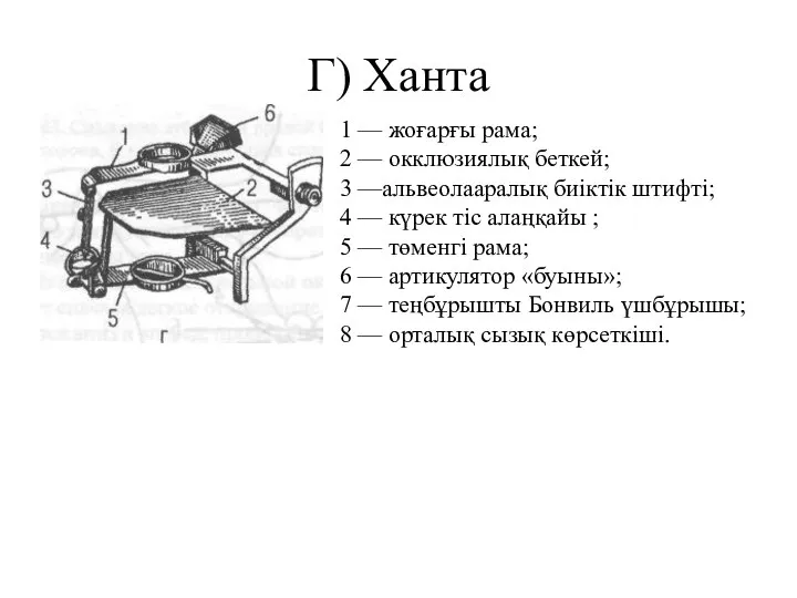 Г) Ханта 1 — жоғарғы рама; 2 — окклюзиялық беткей; 3