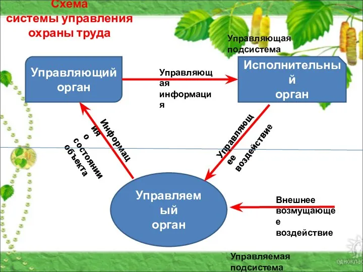 Схема системы управления охраны труда Управляющий орган Исполнительный орган Управляемый орган