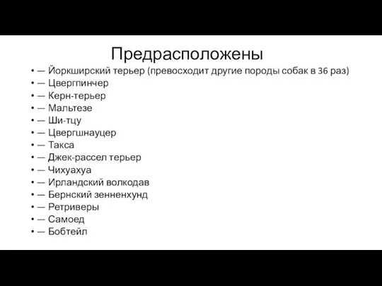 Предрасположены — Йоркширский терьер (превосходит другие породы собак в 36 раз)