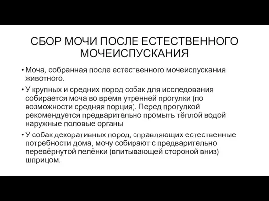 СБОР МОЧИ ПОСЛЕ ЕСТЕСТВЕННОГО МОЧЕИСПУСКАНИЯ Моча, собранная после естественного мочеиспускания животного.