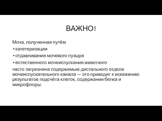 ВАЖНО! Моча, полученная путём катетеризации отдавливания мочевого пузыря естественного мочеиспускания животного