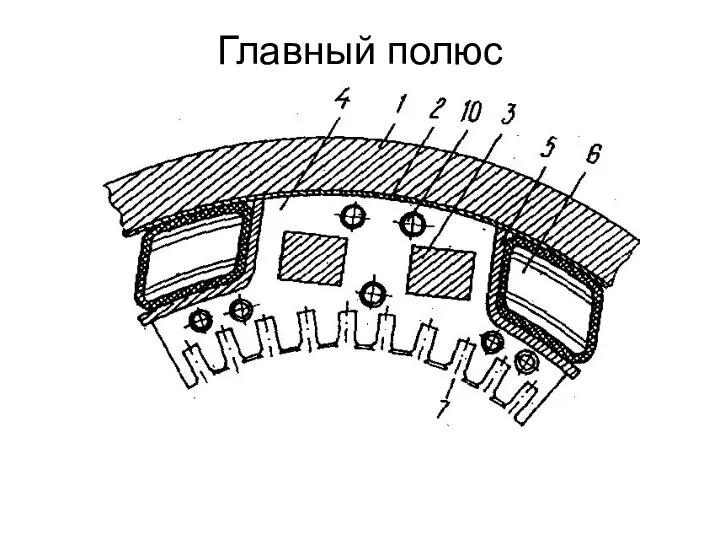 Главный полюс