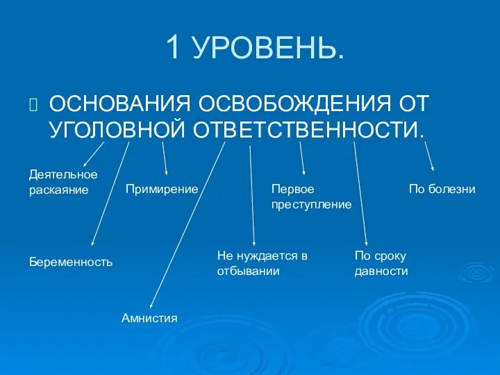 1 УРОВЕНЬ. ОСНОВАНИЯ ОСВОБОЖДЕНИЯ ОТ УГОЛОВНОЙ ОТВЕТСТВЕННОСТИ. Деятельное раскаяние Примирение Первое