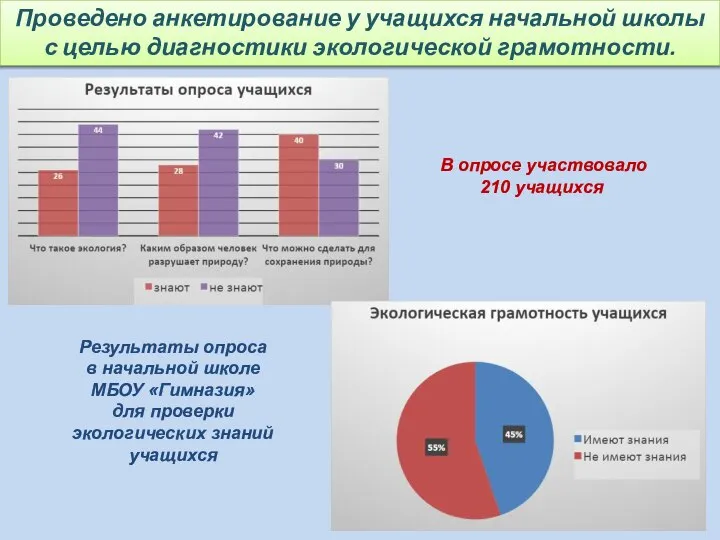 Проведено анкетирование у учащихся начальной школы с целью диагностики экологической грамотности.