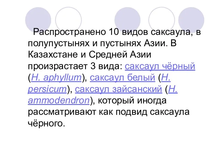 Распространено 10 видов саксаула, в полупустынях и пустынях Азии. В Казахстане