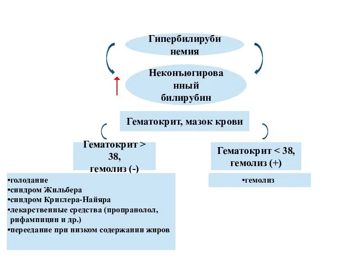 Гипербилирубинемия Неконъюгированный билирубин Гематокрит, мазок крови Гематокрит > 38, гемолиз (-)