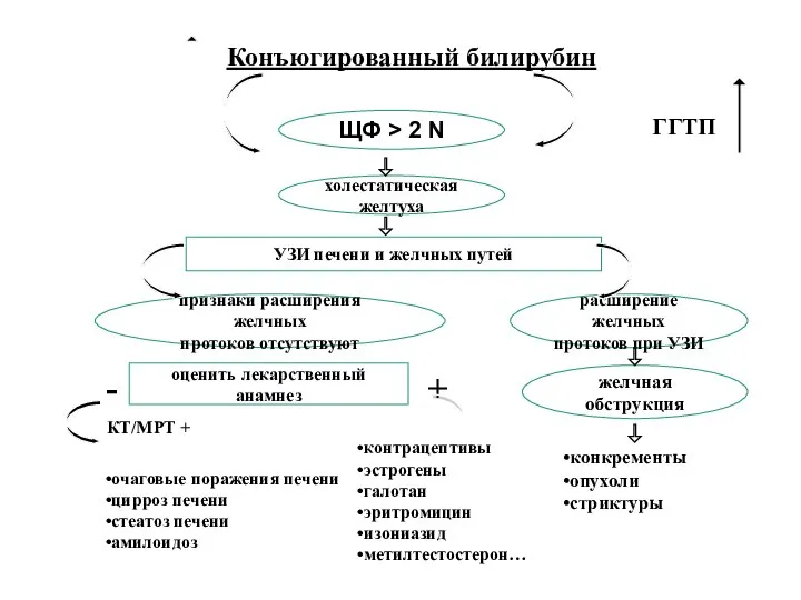 ЩФ > 2 N холестатическая желтуха УЗИ печени и желчных путей