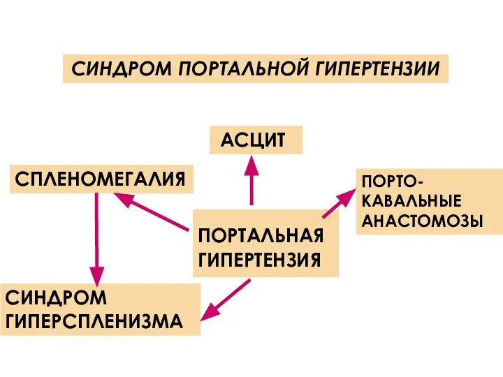 СИНДРОМ ПОРТАЛЬНОЙ ГИПЕРТЕНЗИИ ПОРТАЛЬНАЯ ГИПЕРТЕНЗИЯ АСЦИТ СПЛЕНОМЕГАЛИЯ СИНДРОМ ГИПЕРСПЛЕНИЗМА ПОРТО-КАВАЛЬНЫЕ АНАСТОМОЗЫ