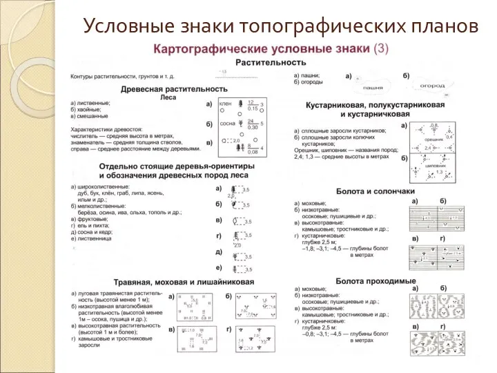 Условные знаки топографических планов